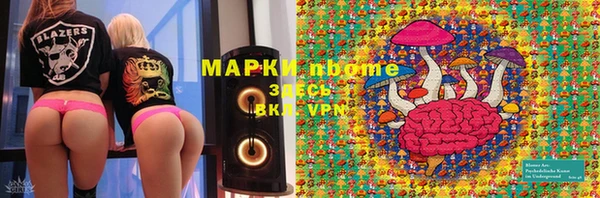 прущая мука Алзамай
