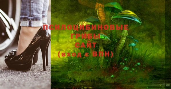 каннабис Алексеевка