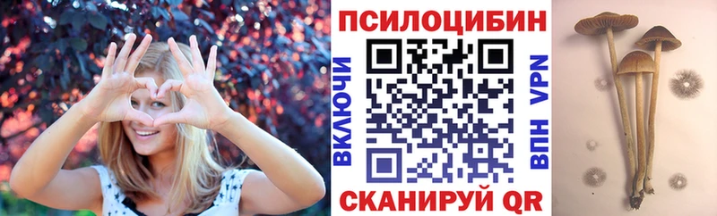 Галлюциногенные грибы Psilocybine cubensis  как найти закладки  omg сайт  Бирюч 
